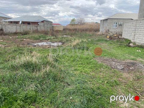 9 sot torpaq sahəsi, Naxçıvan ş — Naxçıvan
