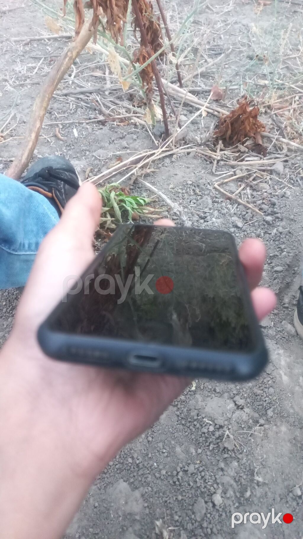 IPhone 7, Qara, Barmaq izi — Apple iPhone, Cəlilabad (3)