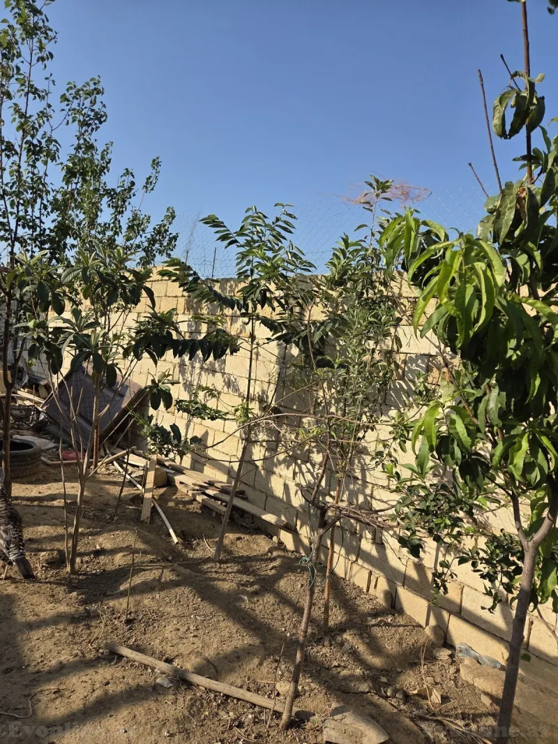 Satılır 4 otaqlı Həyət evi 180 m² Bakı, Abşeron r., Masazır — Ev, villa, Bakı (5)