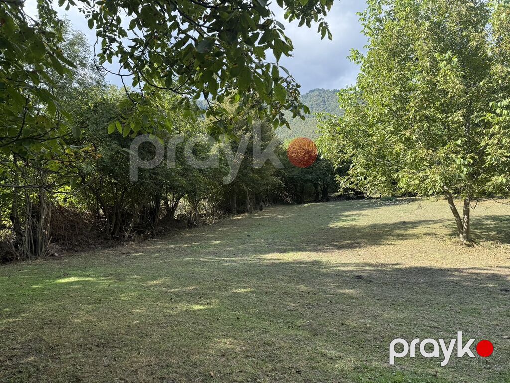 Kənd təsərrüfatı — Torpaq, Şəki (2)