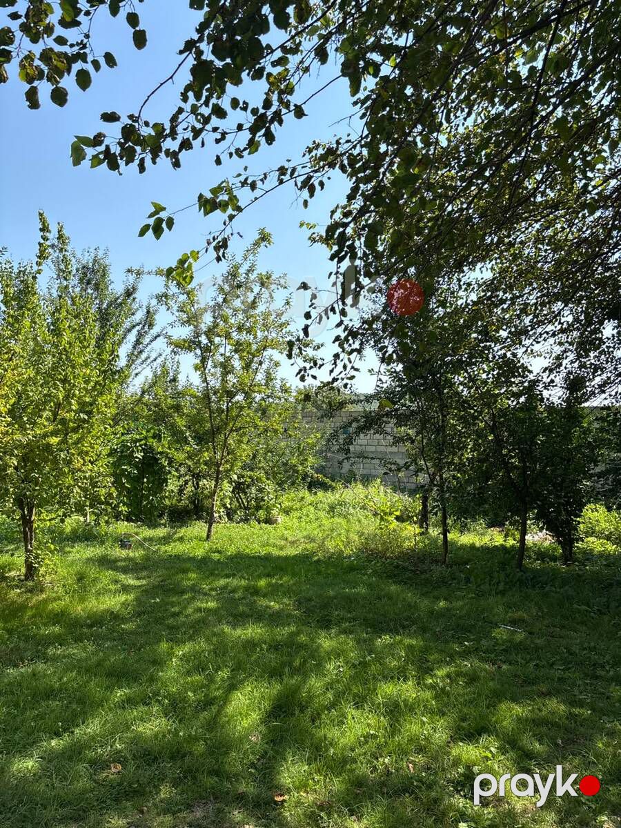 Satılır 6 otaqlı həyət evi/bağ evi 249 m² — Ev, villa, İsmayıllı (6)
