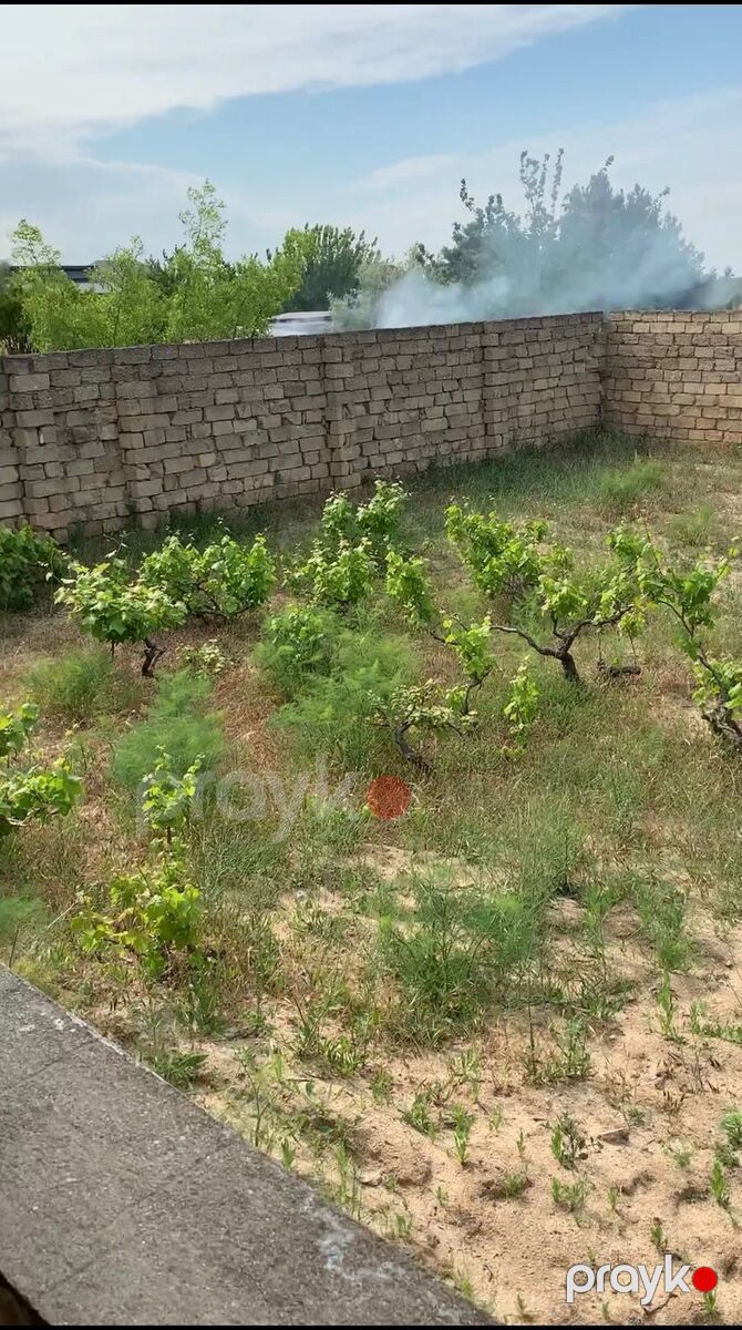 Satılır torpaq 11 sot — Torpaq, Bakı (4)