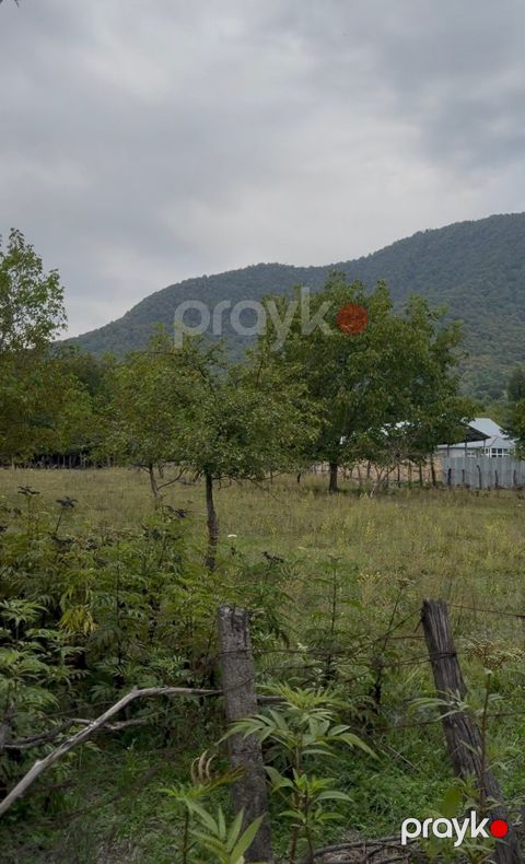 22 sot torpaq sahəsi, Bum qəs — Qəbələ