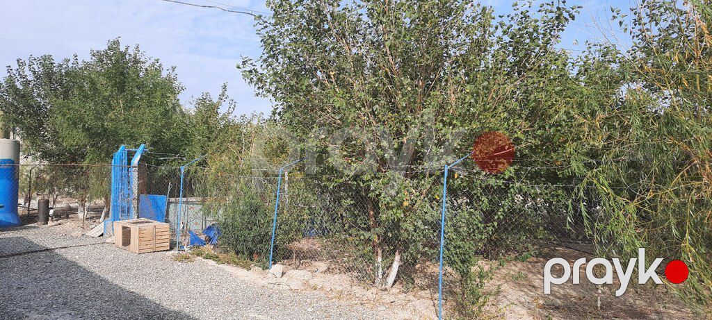 100 sot torpaq sahəsi, Sumqayıt ş — Torpaq, Sumqayıt (4)