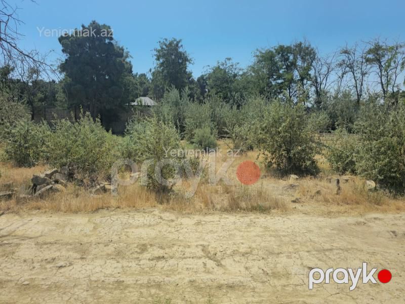 Satılır Torpaq sahəsi, 6 sot, Sumqayıt şəh — Torpaq, Sumqayıt (4)