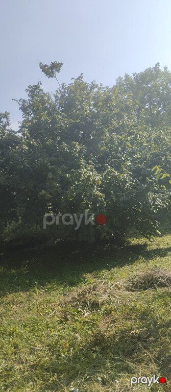 Həyət evi, Xaçmaz r — Ev, villa, Xaçmaz (12)