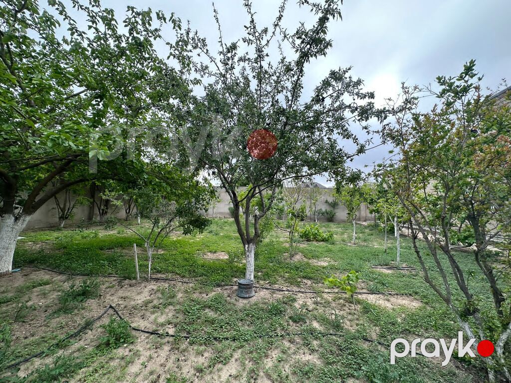 Satılır torpaq 7 sot — Torpaq, Bakı (4)