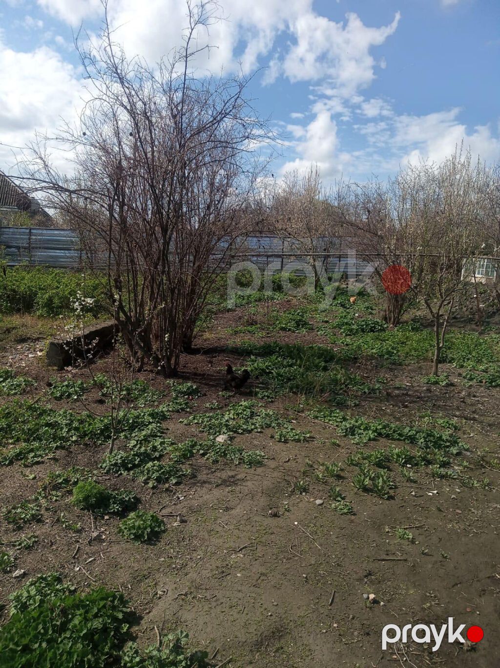 6 sot, Tikinti, Mülkiyyətçi, Kupça (Çıxarış) — Torpaq, Ağdaş (5)