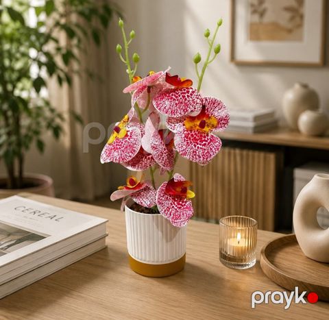 Süni dekorativ orxideya — Bakı