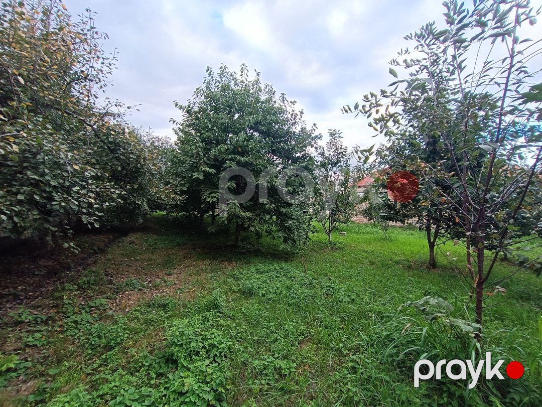 Satılır torpaq 5 sot — Torpaq, Quba (4)
