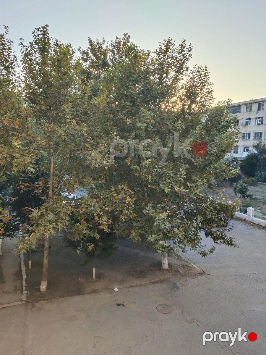 İcarəyə verilir 3 otaqlı köhnə tikili 90 m² — Mənzil, Bakı (8)