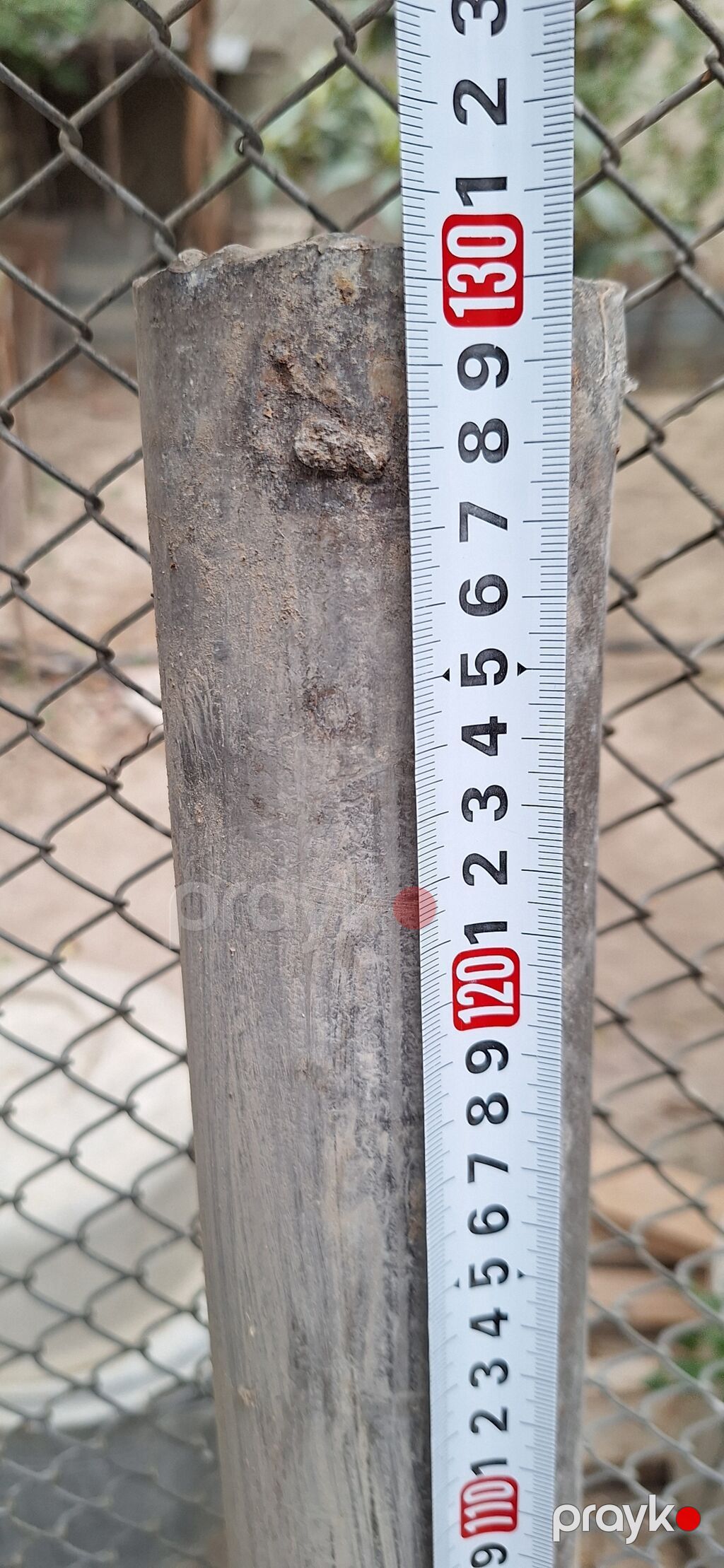 Nerj boru - Material: polad - Xarici diametr: təxminən 5,8–6,0 sm — Fəliz məmulatı, Masazır (2)