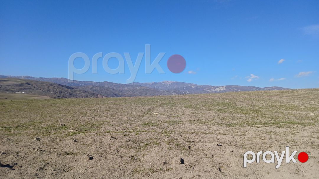 100 sot torpaq sahəsi, Qızmeydan kəndi — Torpaq, Şamaxı (11)
