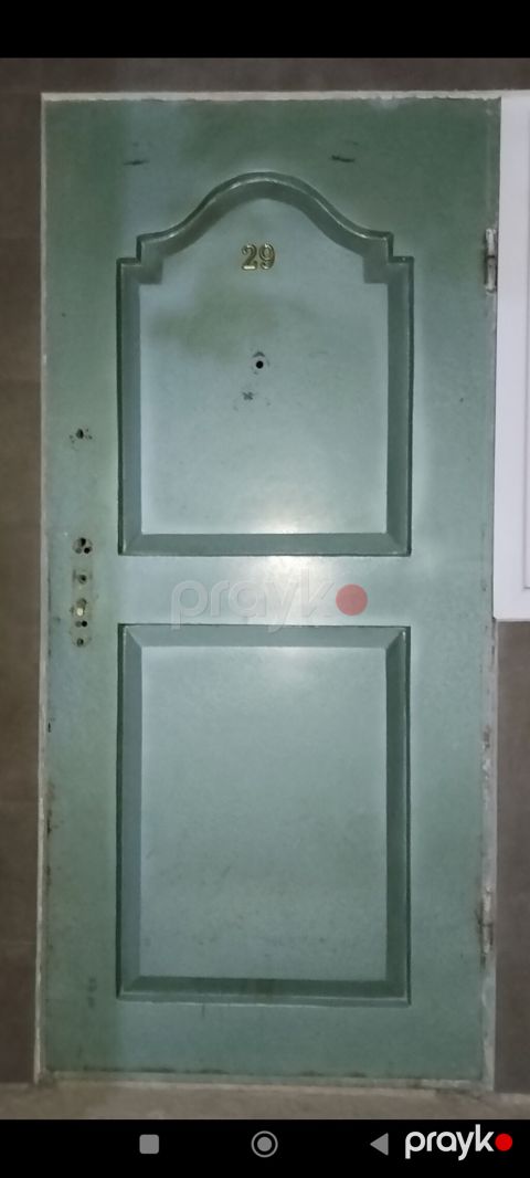 Metal giriş qapısı - Material: polad/metal təbəqə - Rəng: açıq yaşıl — Bakı
