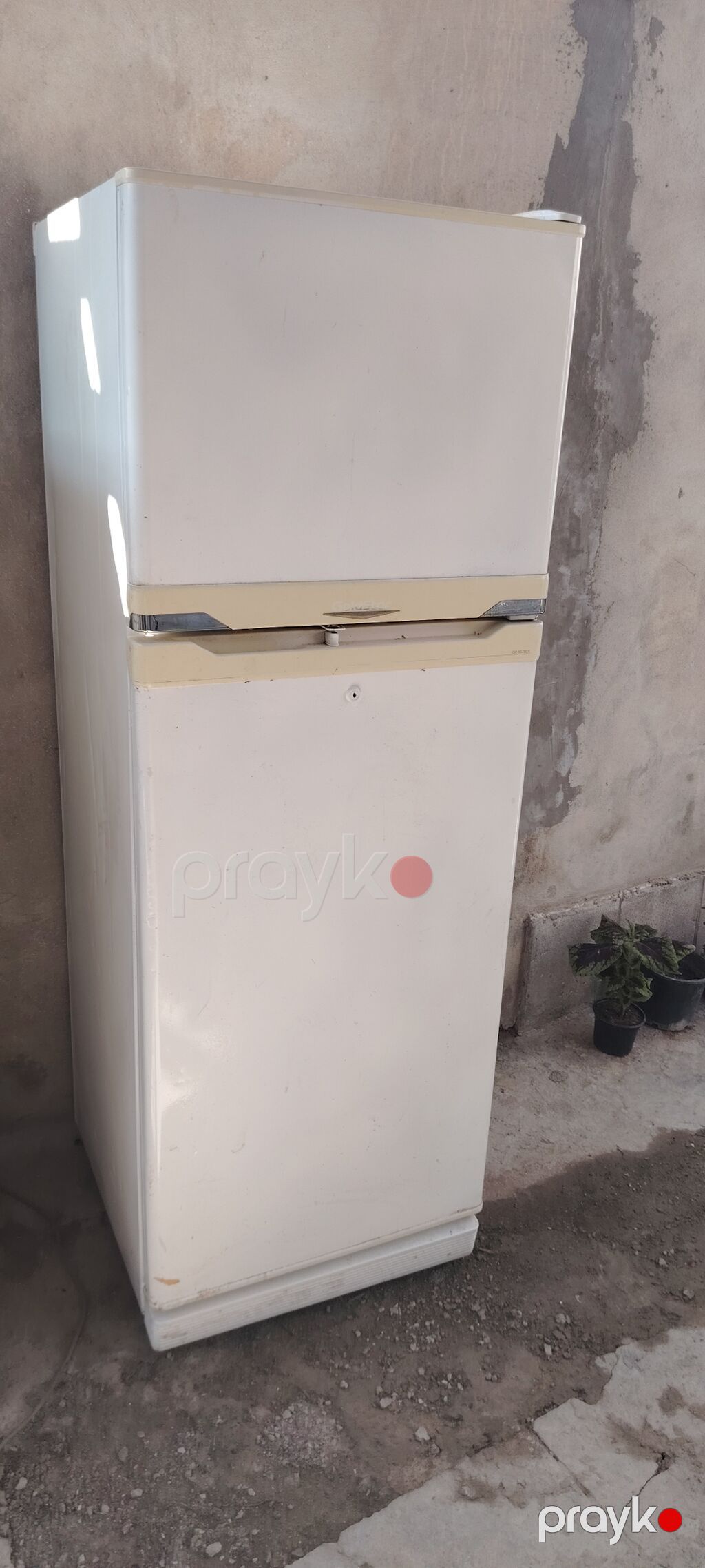 İki qapılı soyuducu Goldstar No Frost - Korpus: ağ rəng, klassik düz — Soyuducular, Bakı (3)