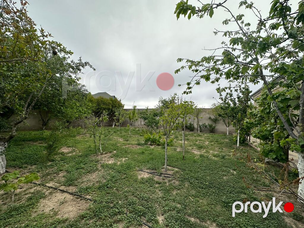 Satılır torpaq 7 sot — Torpaq, Bakı (6)