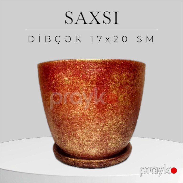 Dibçəklər — Bitkilər, Bakı (4)