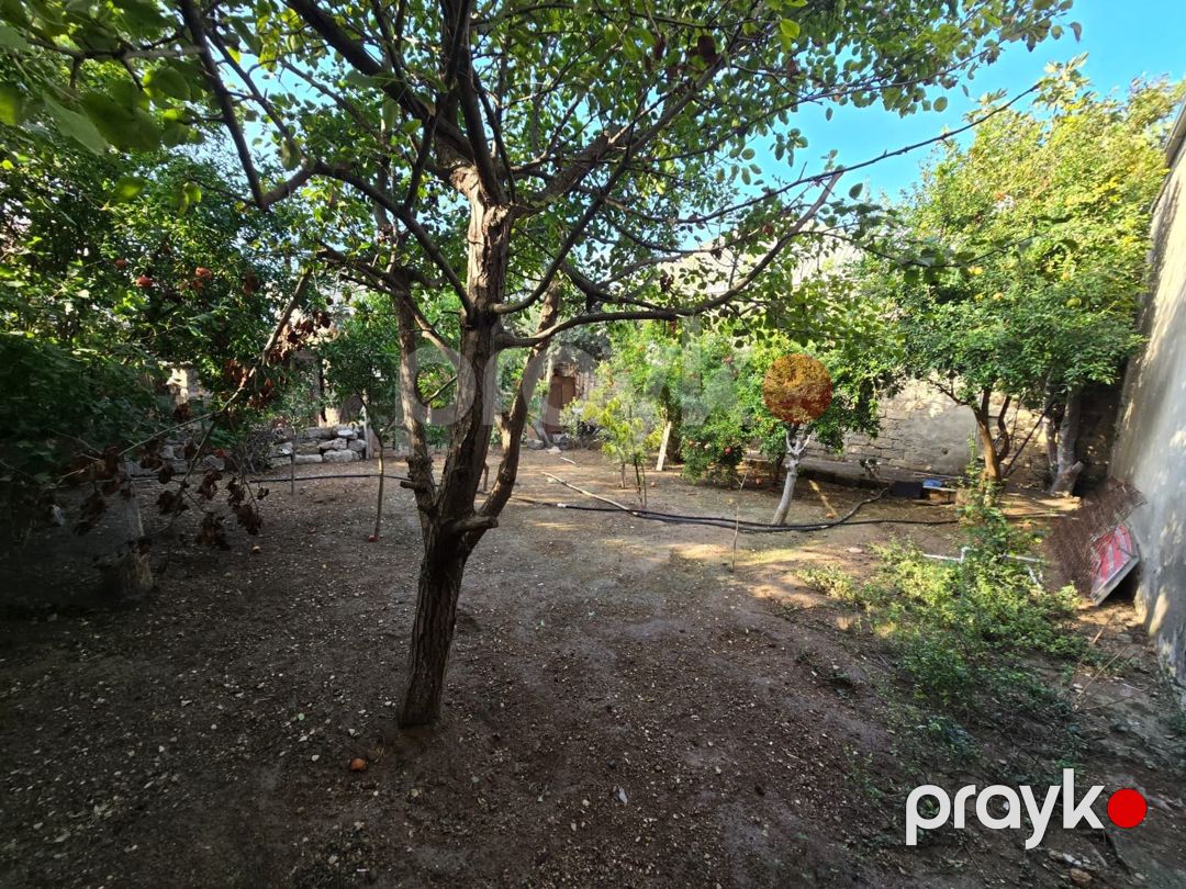Həyət evi, Binə qəs — Ev, villa, Bakı (8)