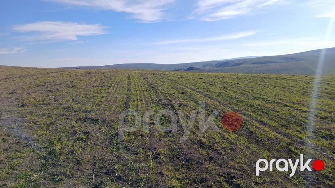 100 sot torpaq sahəsi, Qızmeydan kəndi — Torpaq, Şamaxı (8)