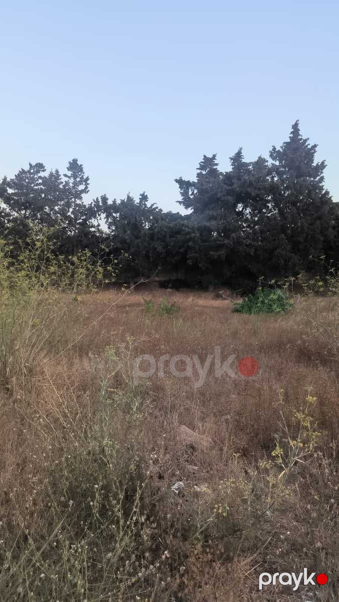 Satılır torpaq 40 sot — Torpaq, Bakı (3)