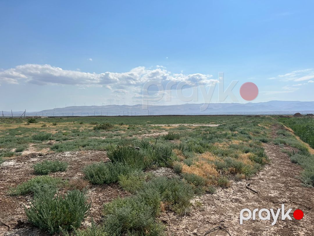 Satış: Torpaq, 511 sot, Xızı rayonu — Torpaq (4)