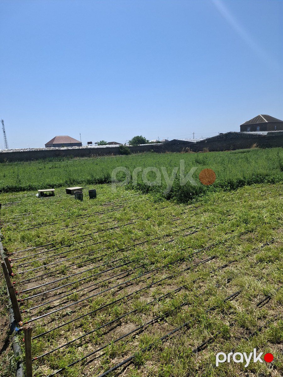 Bağ evi, Türkan qəs — Ev, villa, Bakı (6)