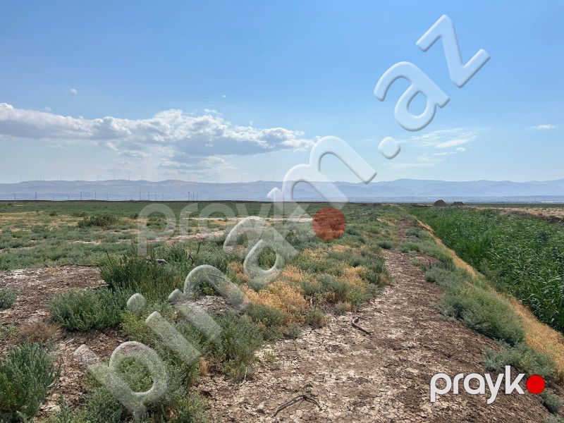 511 sot Torpaq, Satış, Xızı — Torpaq, Xızı (5)