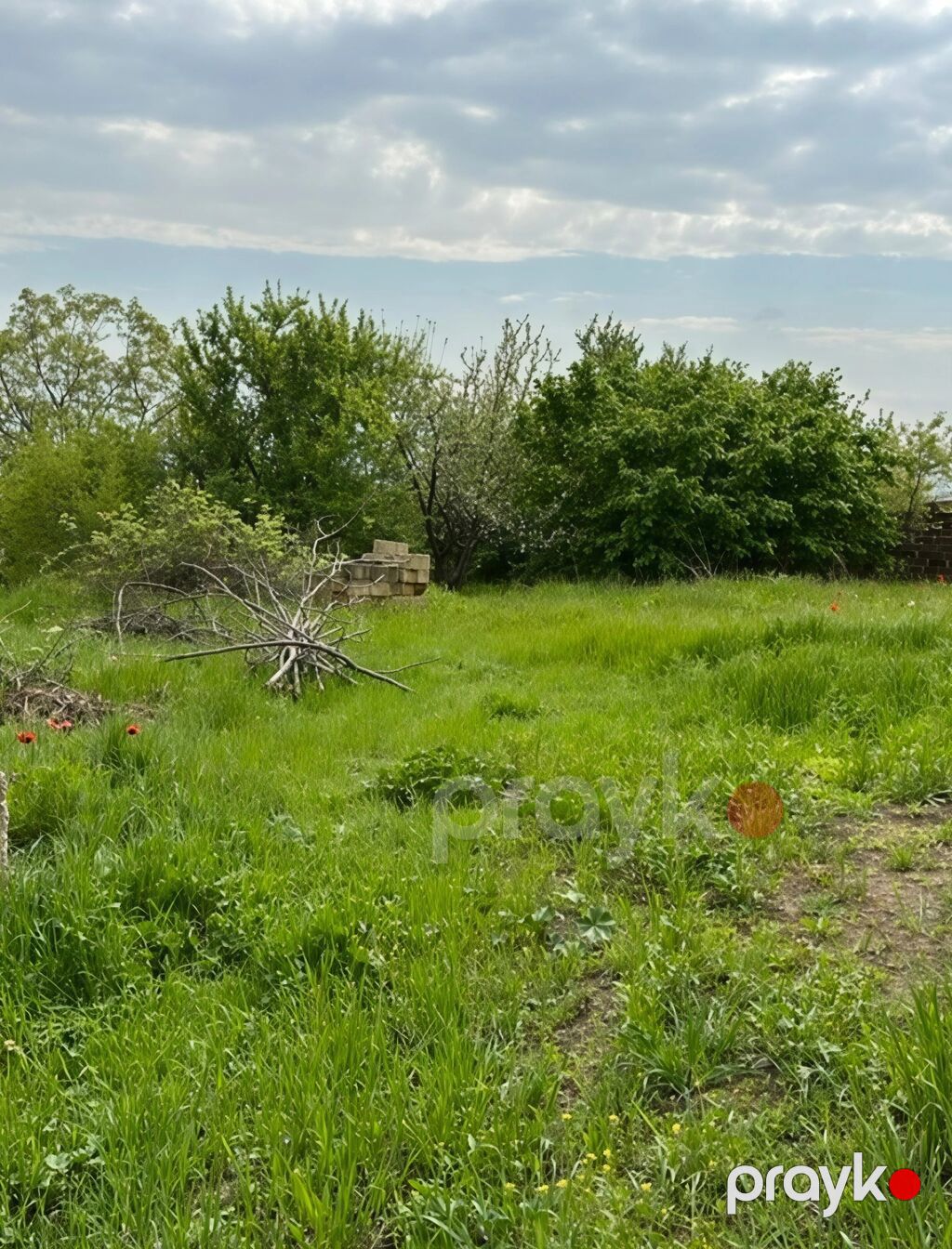 31 sot, Tikinti, Mülkiyyətçi, Kupça (Çıxarış) — Torpaq, Xaçmaz (5)