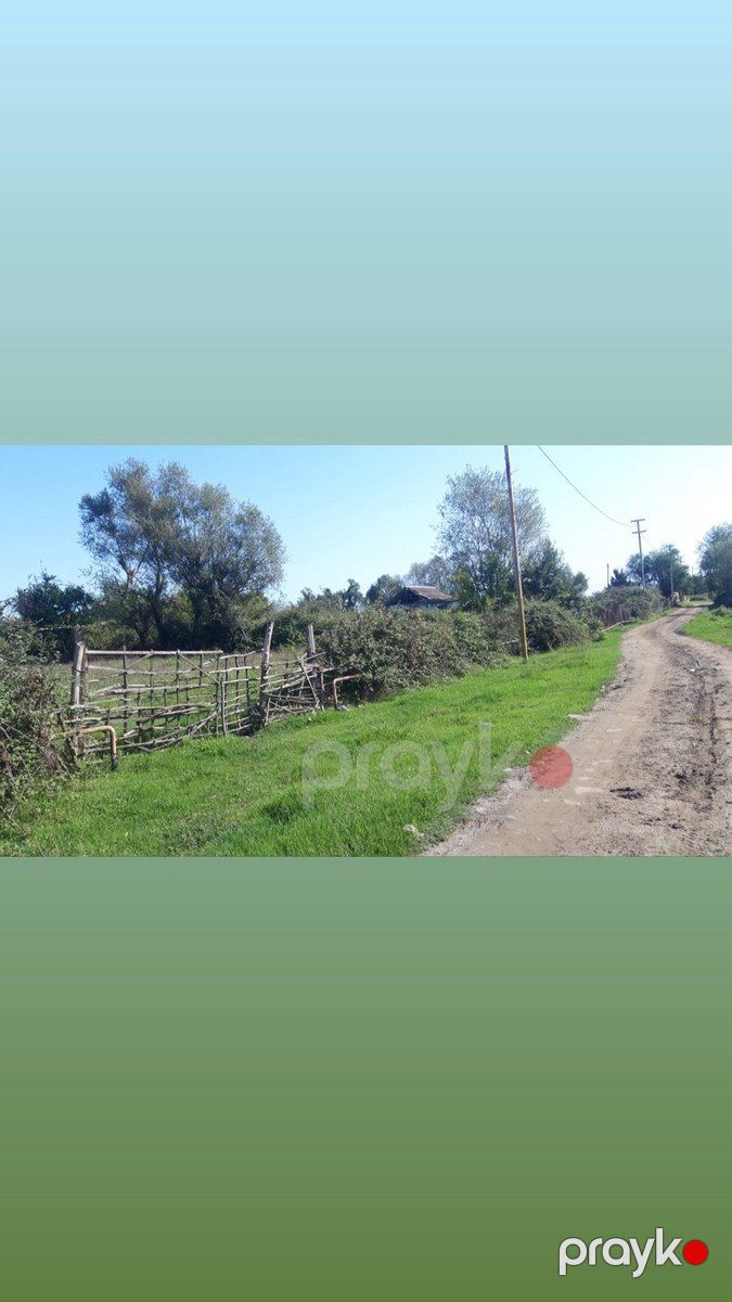 12 sot torpaq sahəsi, Astara r — Torpaq, Astara (4)