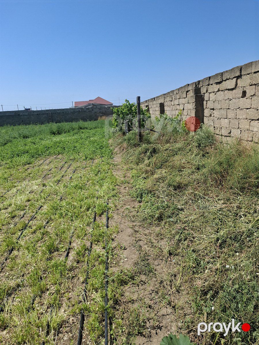 Bağ evi, Türkan qəs — Ev, villa, Bakı (7)