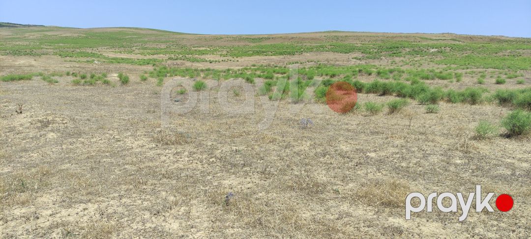 Satılır torpaq 81.5 sot — Torpaq, Bakı (2)