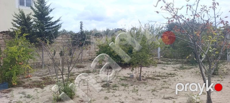 2 sot Torpaq, Satış, Bakı, Sabunçu, Koroğlu — Torpaq, Bakı (3)