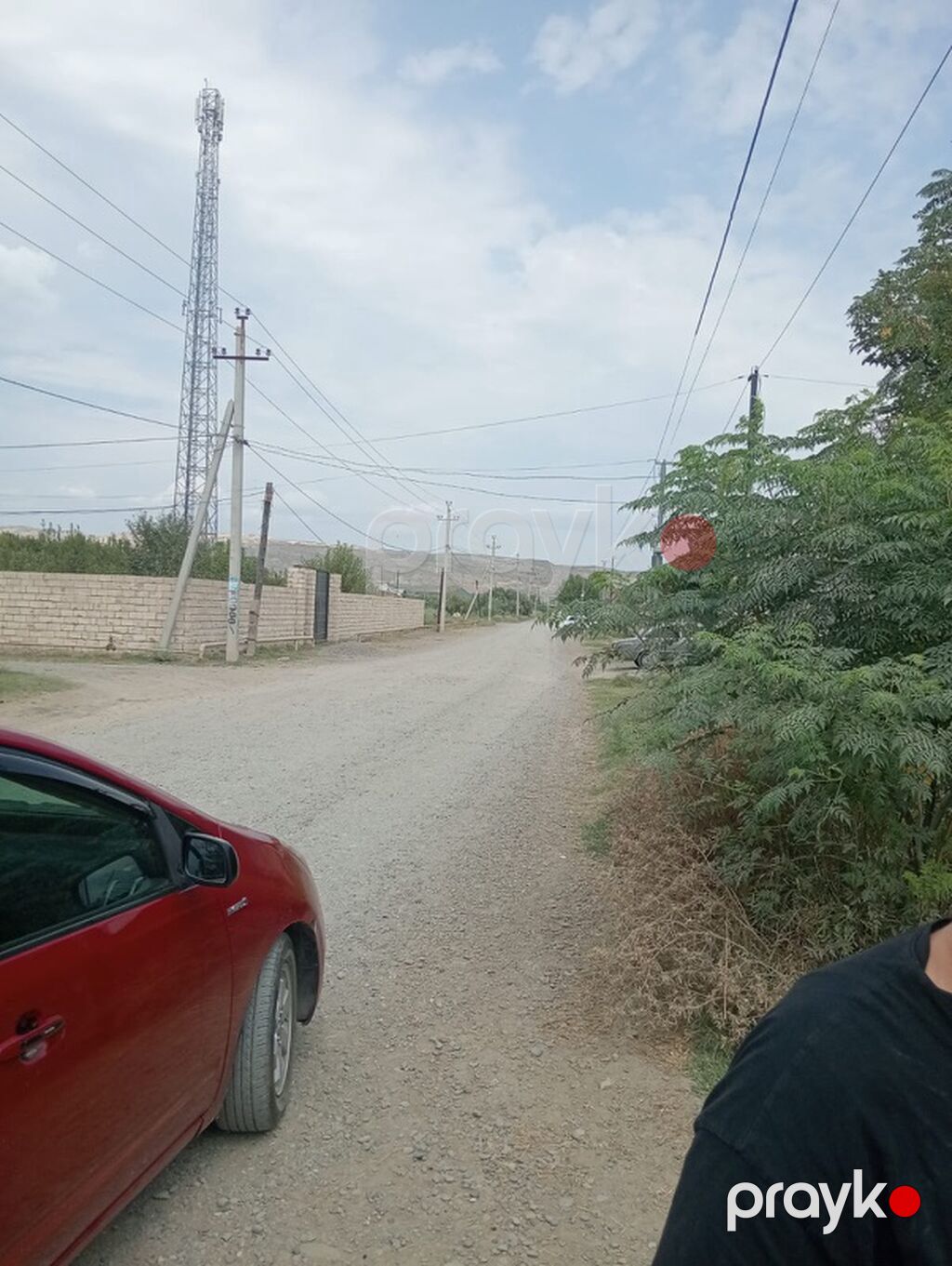 Tikinti — Torpaq, Cəlilabad (5)