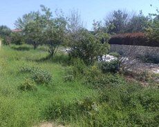 Torpaq Satılır Abşeron r., Masazır q., 4.2 sot — Torpaq, Bakı (7)