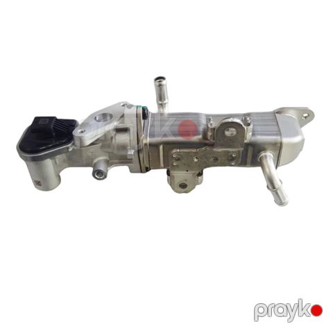 BYD Destroyer 05, BYD Qin Plus EGR — Bakı