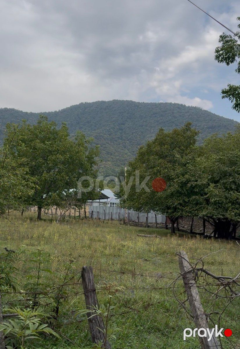 22 sot torpaq sahəsi, Bum qəs — Torpaq, Qəbələ (3)