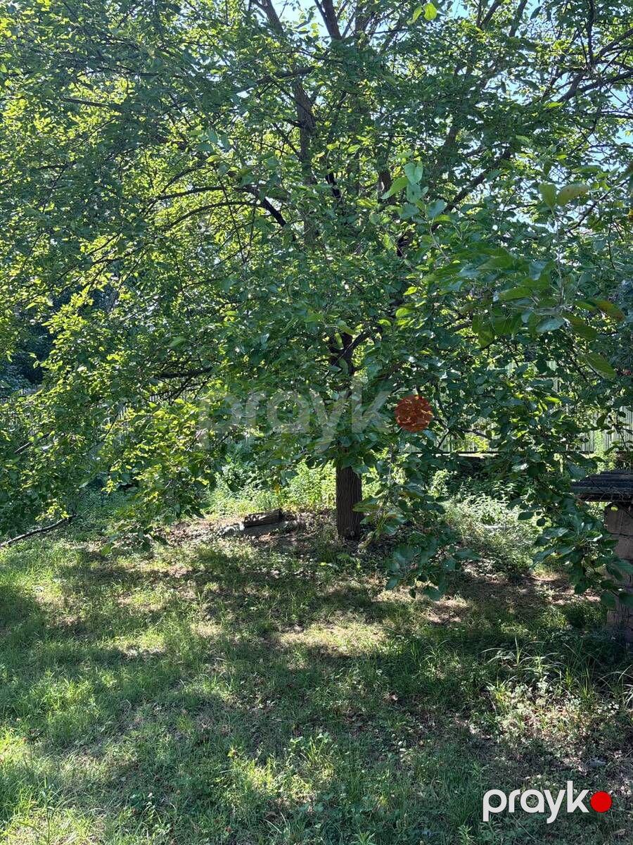 Satılır 6 otaqlı həyət evi/bağ evi 249 m² — Ev, villa, İsmayıllı (8)