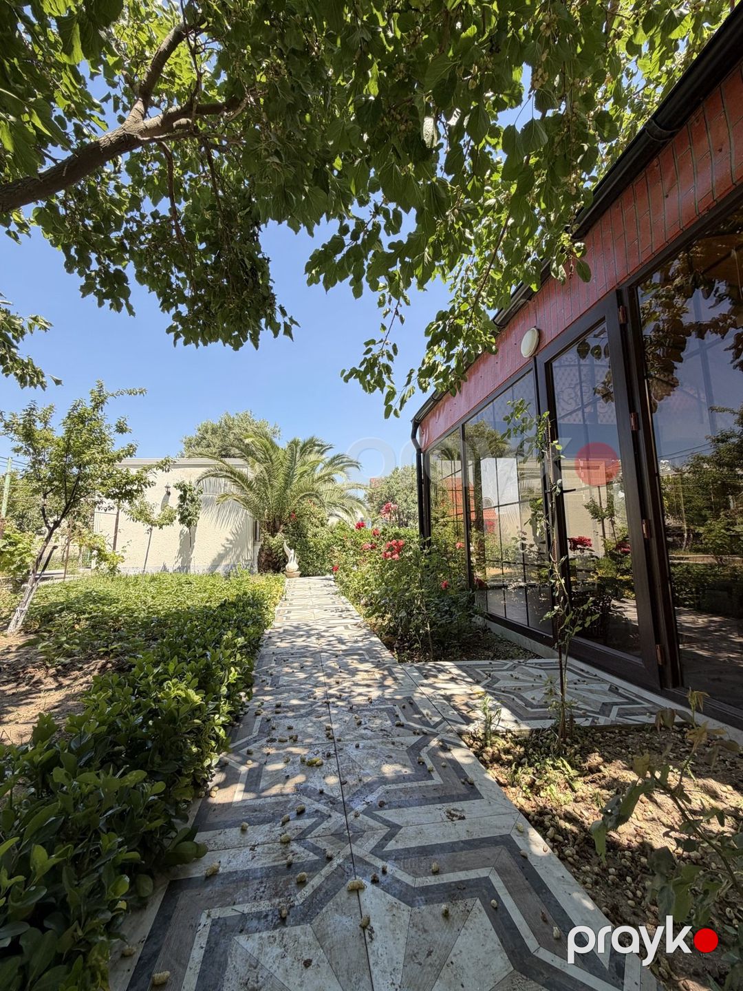 İcarəyə verilir 5 otaqlı həyət evi/bağ evi 300 m² — Ev, villa, Bakı (3)