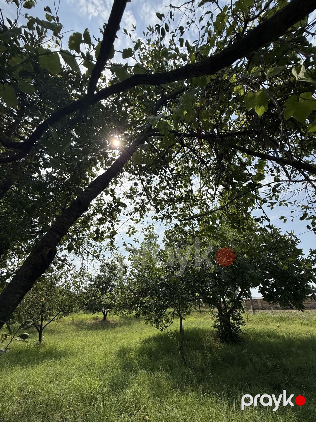 Satılır 4 otaqlı həyət evi/bağ evi 150 m² — Ev, villa, İsmayıllı (4)
