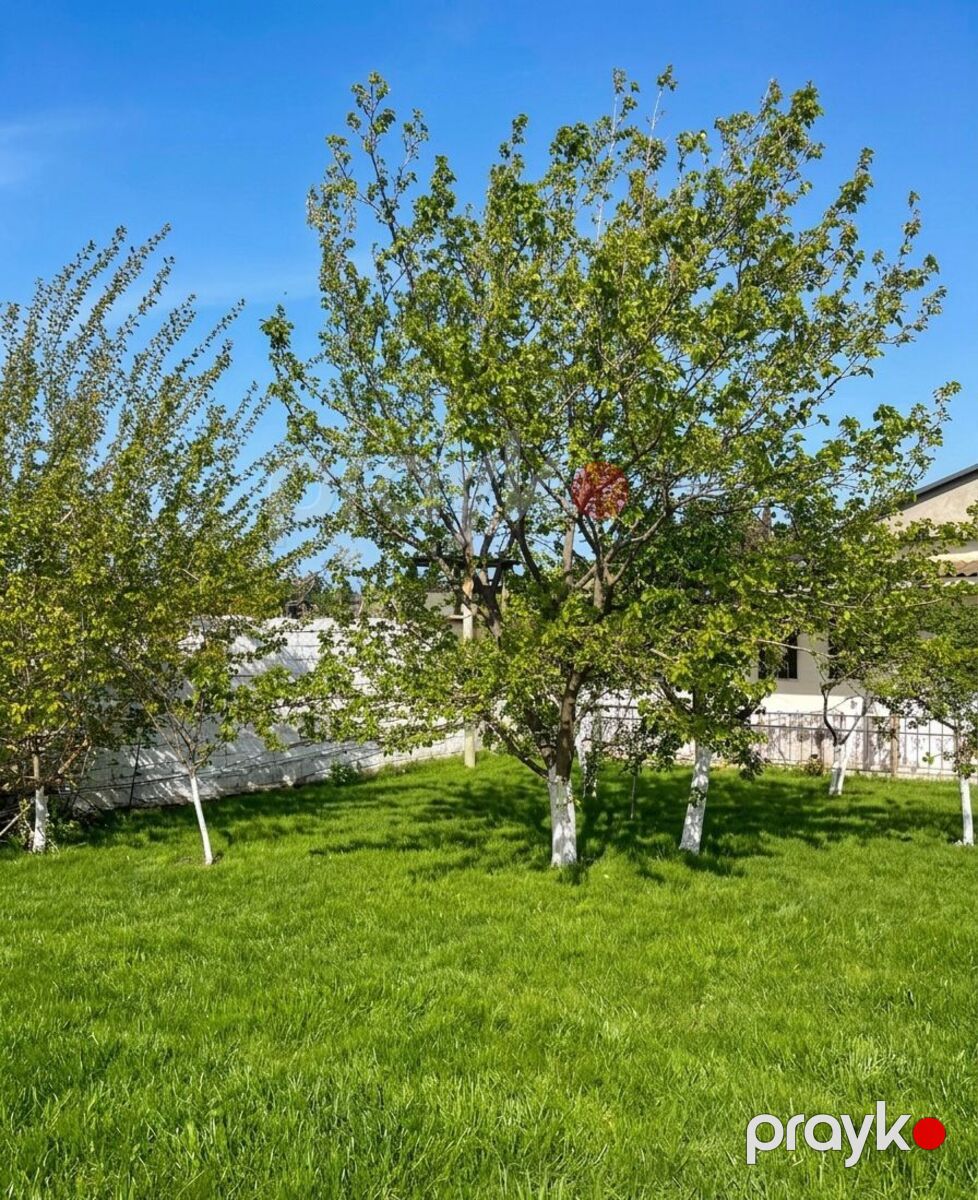 Satılır 4 otaqlı həyət evi/bağ evi 100 m² — Ev, villa, Bakı (6)