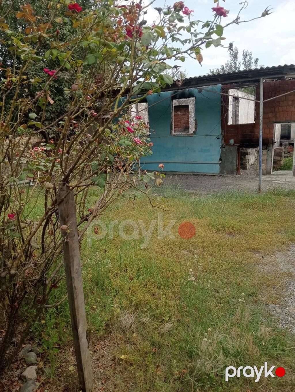 Tikinti — Torpaq, Cəlilabad (2)