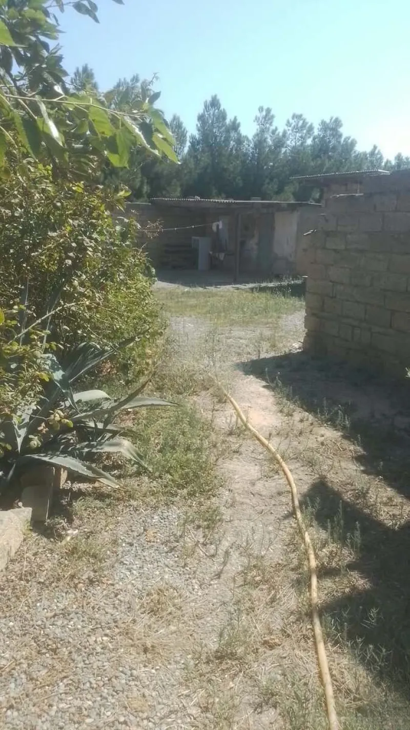 Satılır 2 otaqlı Həyət evi 40 m² Bakı, Sabunçu r., Pirşağı — Ev, villa, Bakı (3)