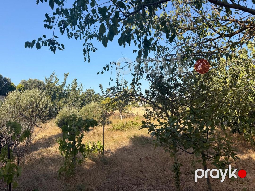 Satılır torpaq 19 sot — Torpaq, Bakı (9)