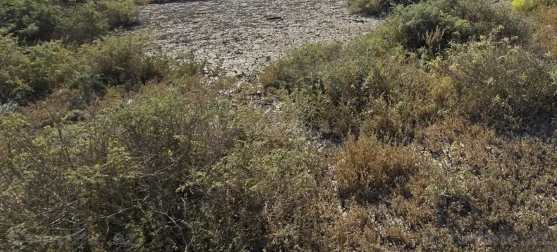 Satılır Torpaq 5 sot Mingəçevir — Torpaq, Mingəçevir (2)