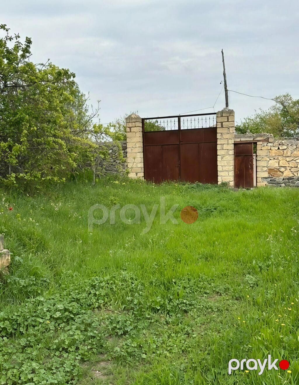 31 sot, Tikinti, Mülkiyyətçi, Kupça (Çıxarış) — Torpaq, Xaçmaz (2)