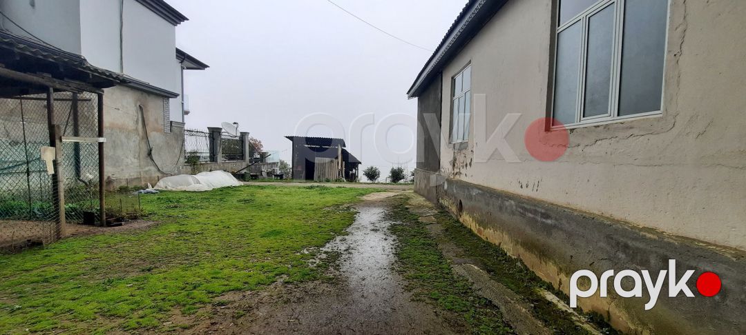 Həyət evi, Lənkəran ş — Ev, villa, Lənkəran (4)