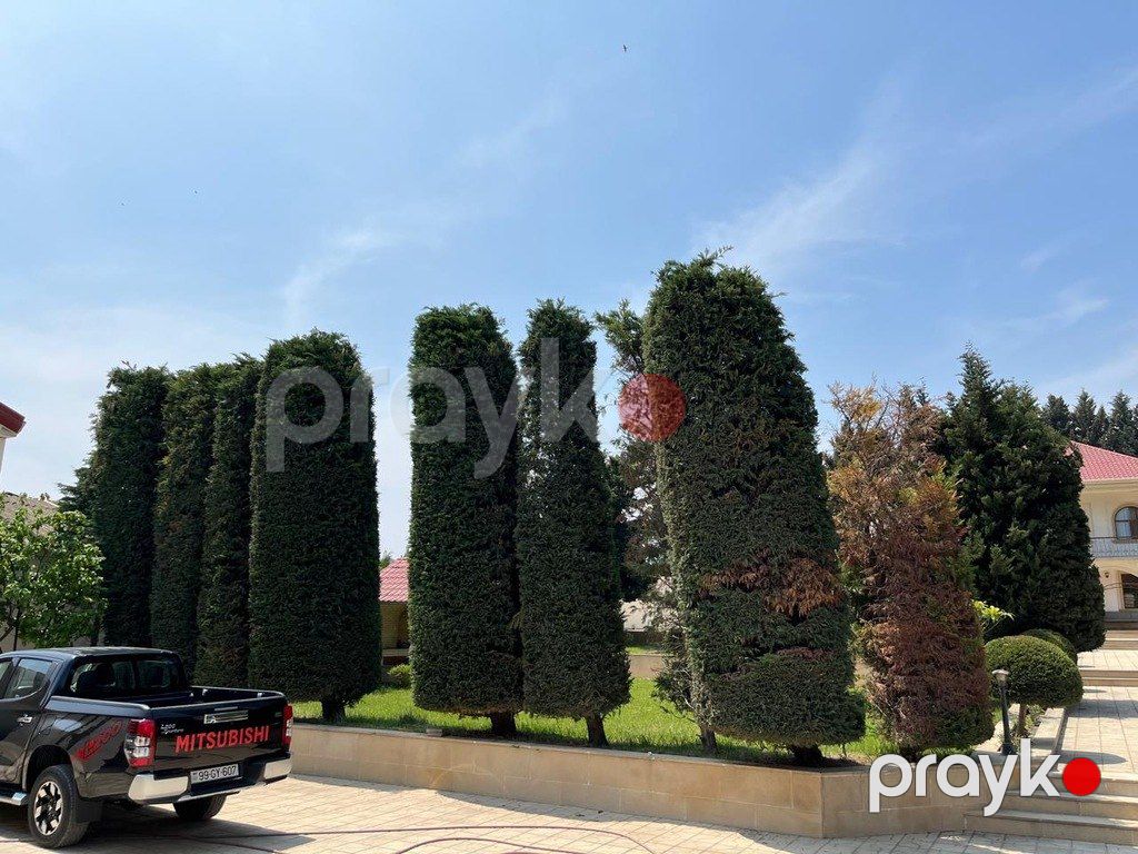 İcarəyə verilir 5 otaqlı həyət evi/bağ evi 450 m² — Ev, villa, Bakı (10)