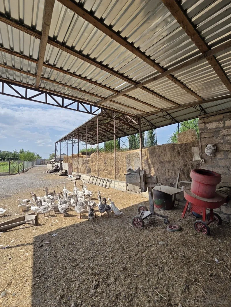Satılır Obyekt 10000 m² Beyləqan — Beyləqan