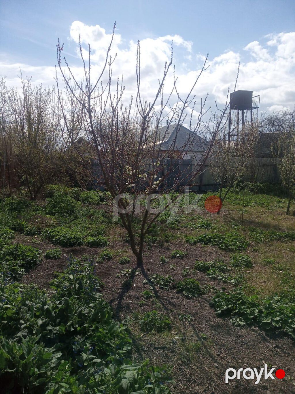 6 sot, Tikinti, Mülkiyyətçi, Kupça (Çıxarış) — Torpaq, Ağdaş (6)