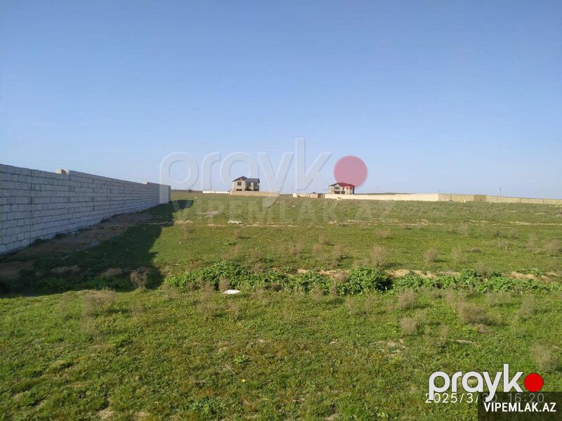 Abşeron rayonunda Torpaq Satılır, 26 sot — Torpaq, Bakı (2)